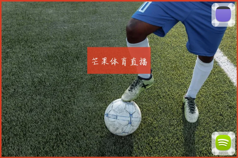 芒果体育直播