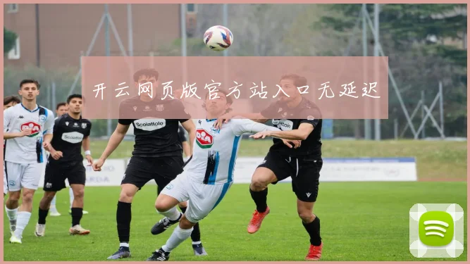 开云网页版官方站入口无延迟