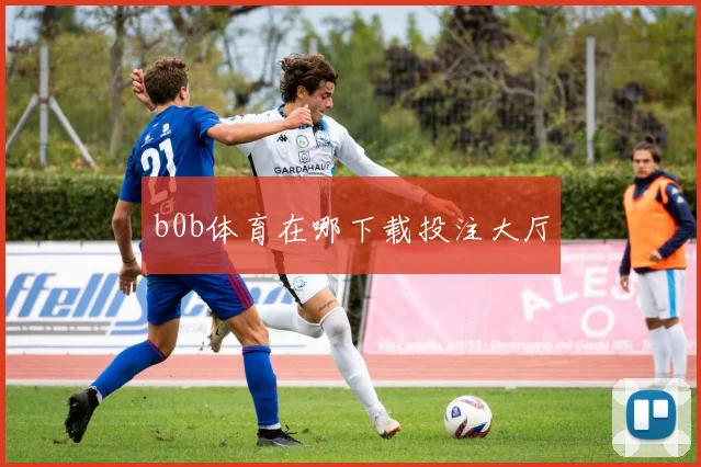 b0b体育在哪下载投注大厅