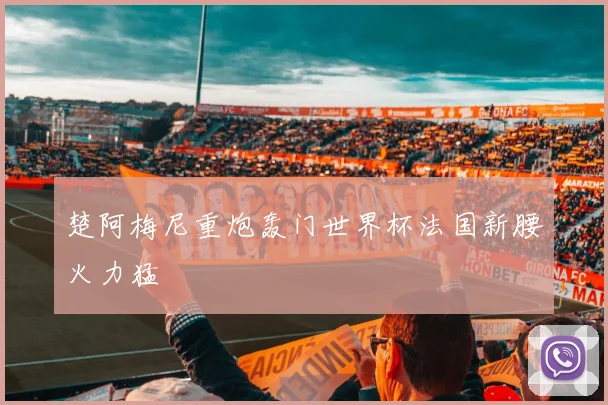 楚阿梅尼重炮轰门世界杯法国新腰火力猛