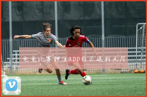 电竞比赛押注app白云返利大厅