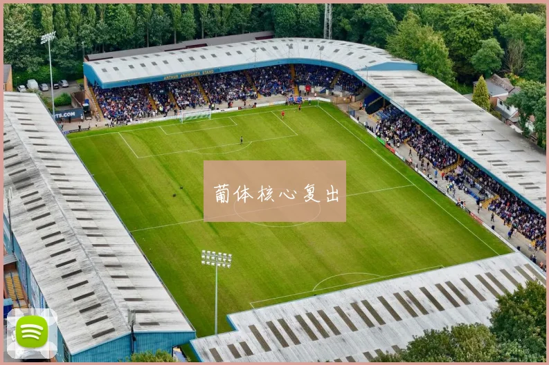 葡体核心复出