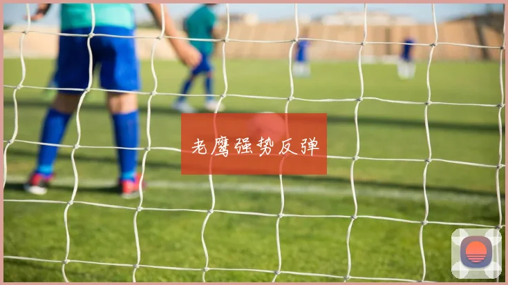 老鹰强势反弹