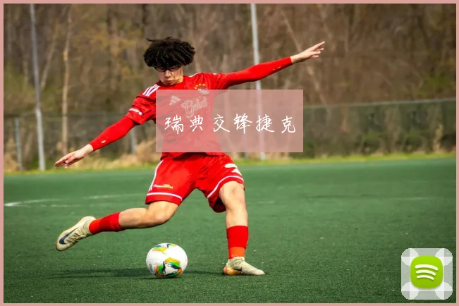 瑞典交锋捷克