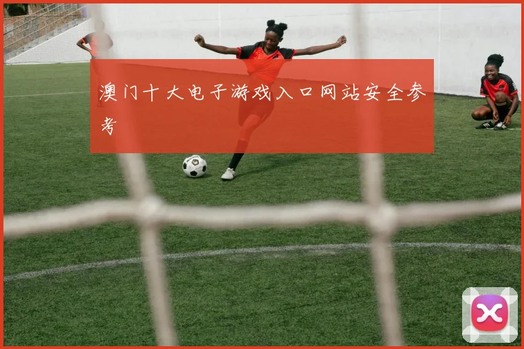 澳门十大电子游戏入口网站安全参考