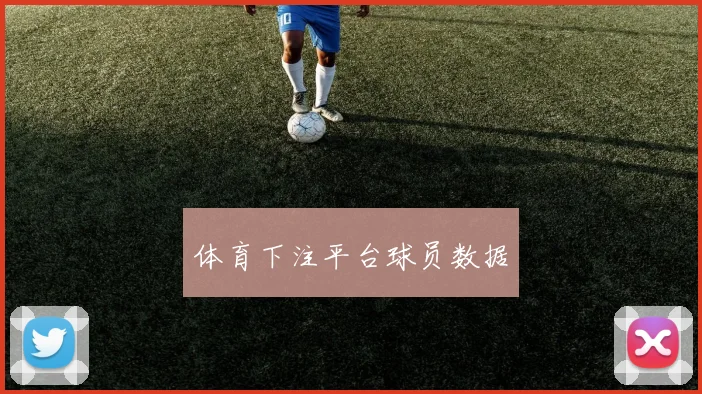 体育下注平台球员数据