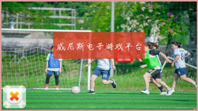 威尼斯电子游戏平台