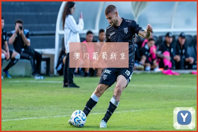 澳门葡萄新京