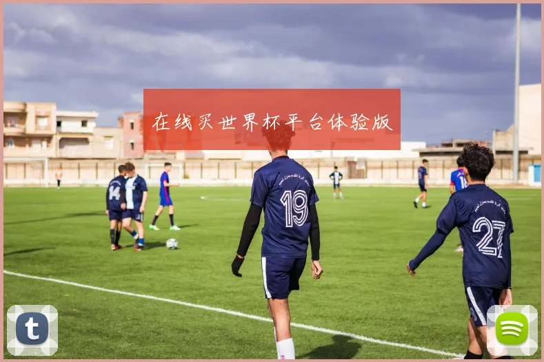 在线买世界杯平台体验版