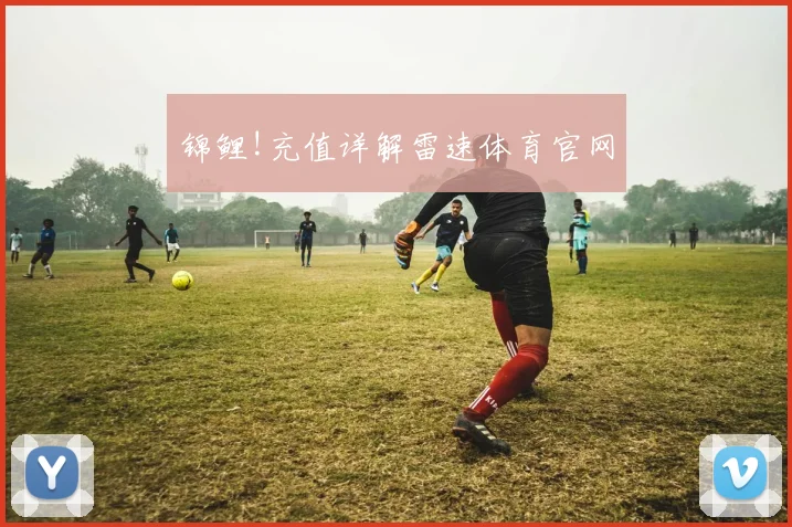 锦鲤!充值详解雷速体育官网