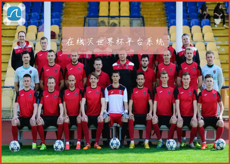 在线买世界杯平台系统