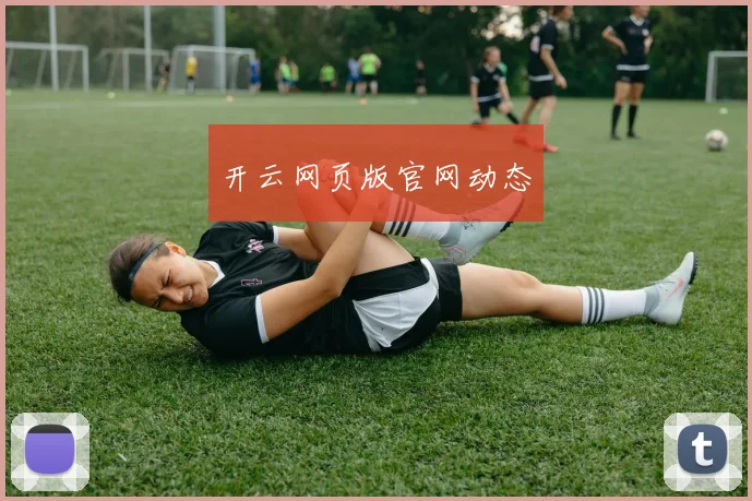 开云网页版官网动态