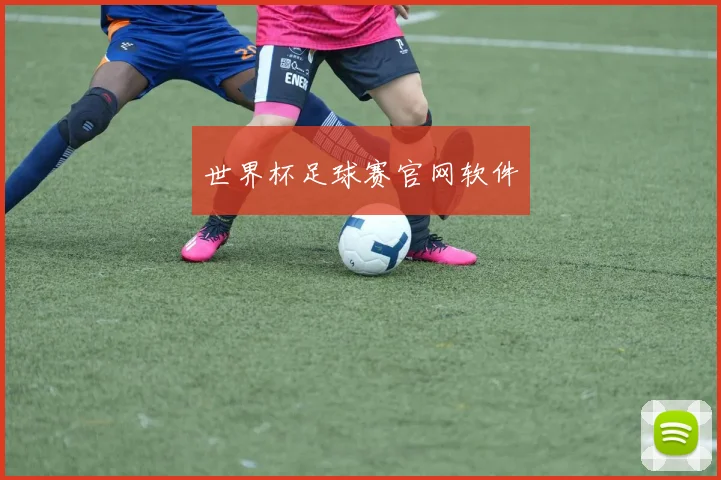 世界杯足球赛官网软件