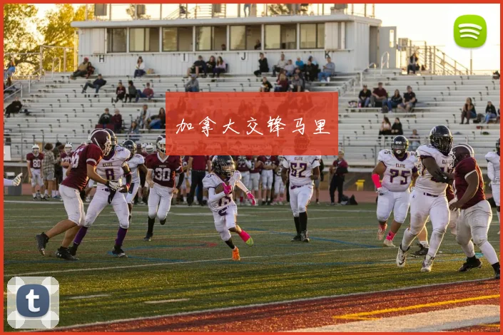 加拿大交锋马里
