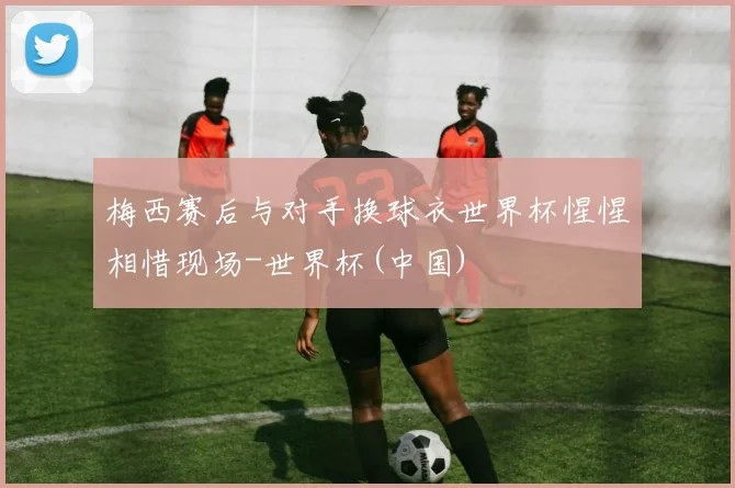 梅西赛后与对手换球衣世界杯惺惺相惜现场-世界杯(中国)