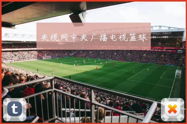 央视网中央广播电视篮球