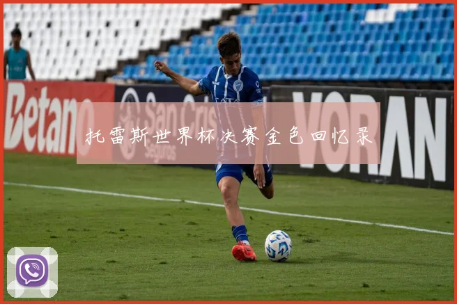 托雷斯世界杯决赛金色回忆录