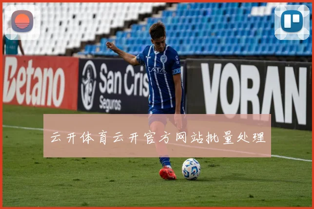 云开体育云开官方网站批量处理