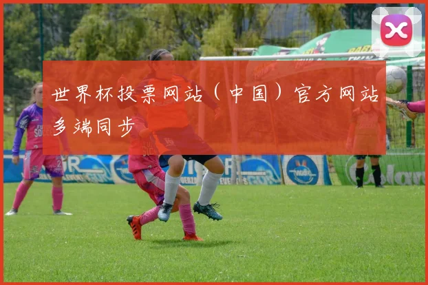 世界杯投票网站（中国）官方网站多端同步
