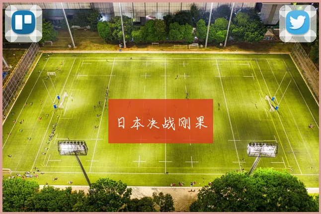 日本决战刚果