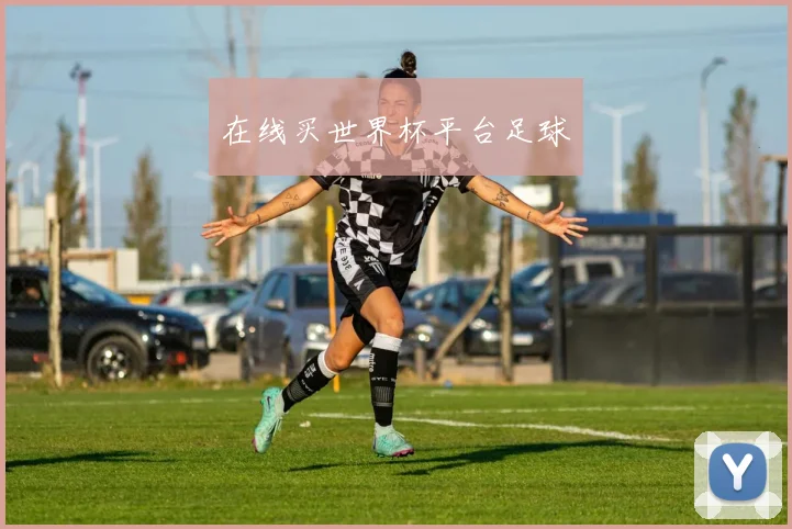 在线买世界杯平台足球