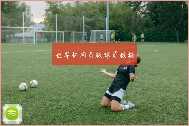 世界杯网页版球员数据