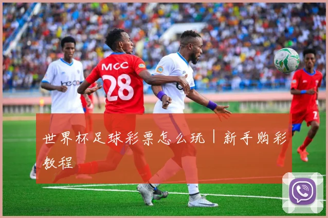 世界杯足球彩票怎么玩｜新手购彩教程