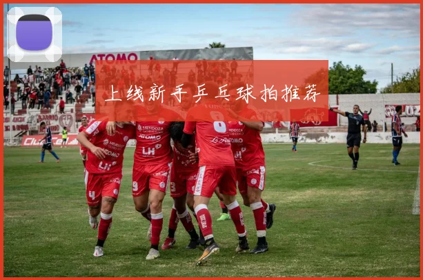 上线新手乒乓球拍推荐