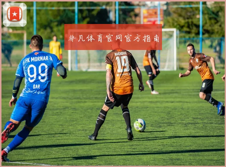 非凡体育官网官方指南