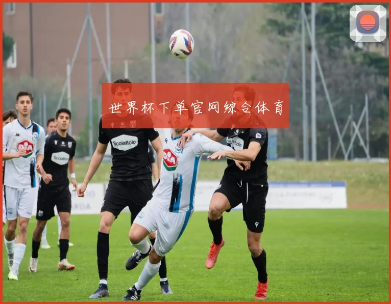 世界杯下单官网综合体育