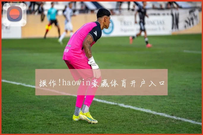 振作!haowin豪赢体育开户入口