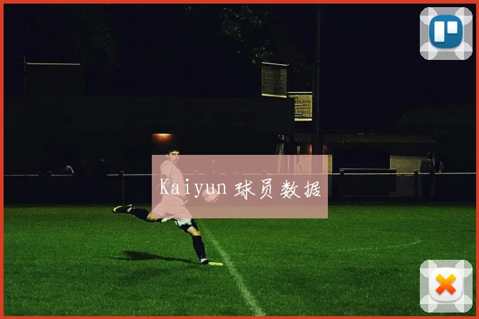 Kaiyun 球员数据