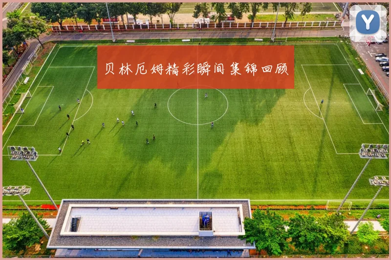 贝林厄姆精彩瞬间集锦回顾