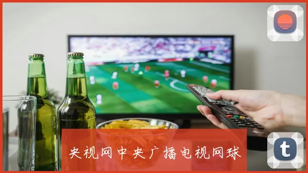 央视网中央广播电视网球