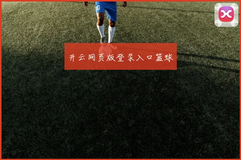 开云网页版登录入口篮球