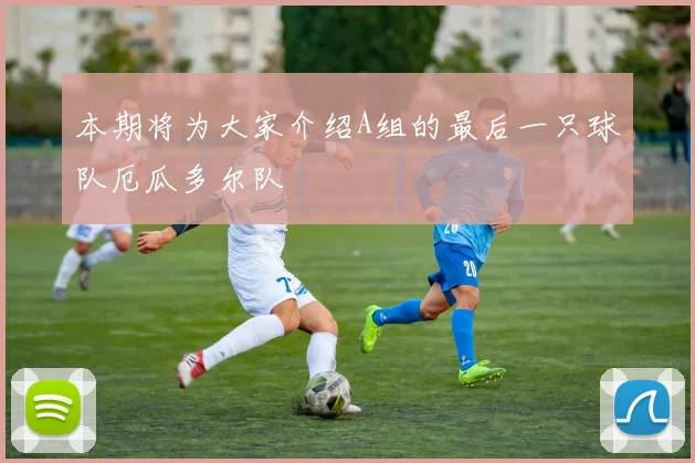本期将为大家介绍A组的最后一只球队厄瓜多尔队