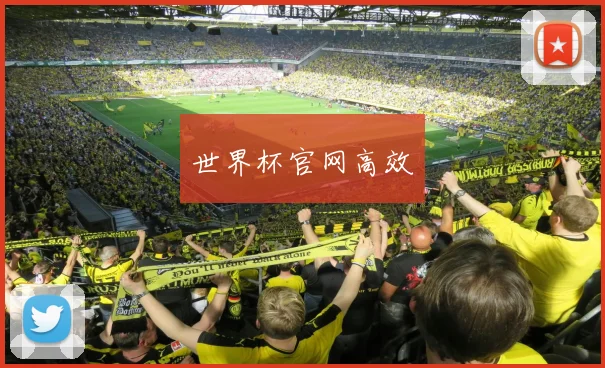 世界杯官网高效