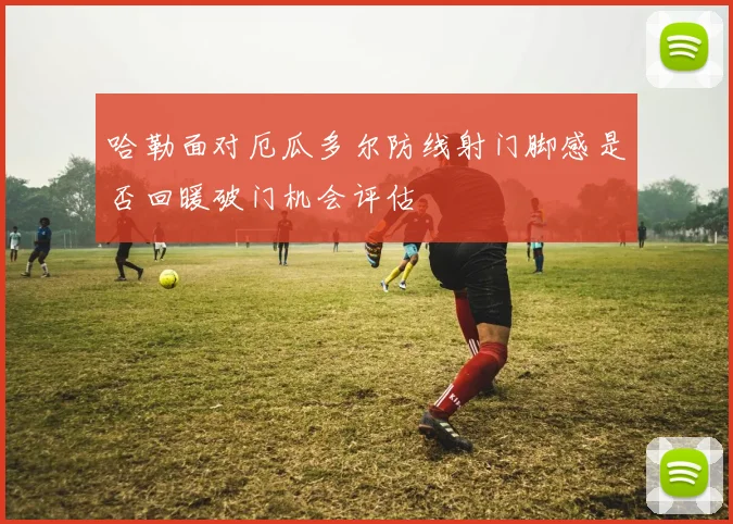 哈勒面对厄瓜多尔防线射门脚感是否回暖破门机会评估