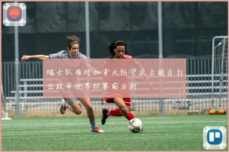 瑞士队面对加拿大防守反击能否打出效率世界杯赛前分析