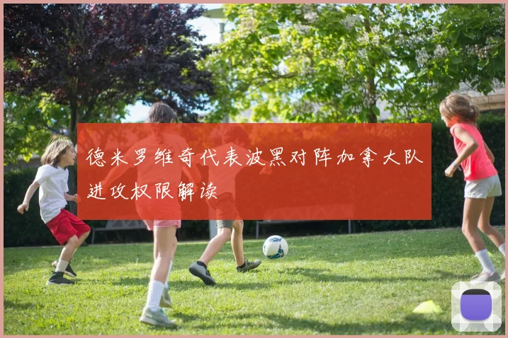 德米罗维奇代表波黑对阵加拿大队进攻权限解读