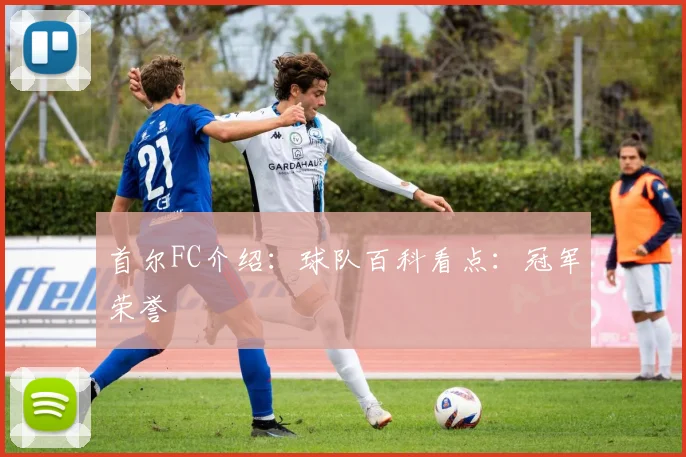 首尔FC介绍：球队百科看点：冠军荣誉